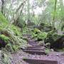Sugarloaf Ridge State Park (SP)