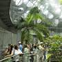 California Academy of Sciences