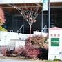 Humboldt State University