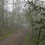 Trione-Annadel State Park (SP)