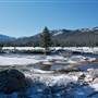 Tuolumne Meadows
