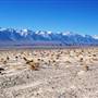 Panamint Dry Lake - BLM