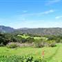 Topanga State Park (SP)