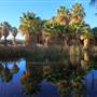 Coachella Valley Preserve System