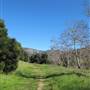 Tapia Park @ Malibu Creek State Park (SP)