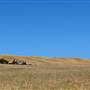 Grizzly Island Wildlife Area - California Department of Fish & Wildlife (CDFW)
