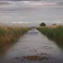 Yolo Bypass Wildlife Area - California Department of Fish & Wildlife (CDFW)