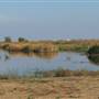 Yolo Bypass Wildlife Area - California Department of Fish & Wildlife (CDFW)