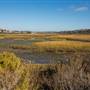 San Elijo Lagoon Ecological Reserve - California Department of Fish & Wildlife (CDFW)