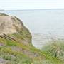 Burton Mesa Ecological Reserve - California Department of Fish & Wildlife (CDFW)