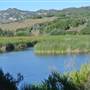 Burton Mesa Ecological Reserve - California Department of Fish & Wildlife (CDFW)