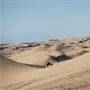 Imperial Sand Dunes & OHV Recreation Area - BLM