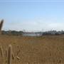 Elkhorn Slough National Estuarine Research Reserve - California Department of Fish & Wildlife (CDFW)