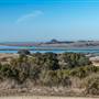 Elkhorn Slough National Estuarine Research Reserve - California Department of Fish & Wildlife (CDFW)