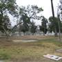 MacArthur Park and Tunnels