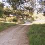 Windy Hill Ranch - El Campeon Farms