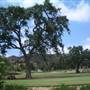 Windy Hill Ranch - El Campeon Farms