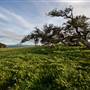 Fort Ord National Monument