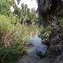Los Angeles County Arboretum