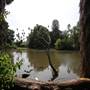 Los Angeles County Arboretum