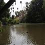 Los Angeles County Arboretum