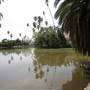 Los Angeles County Arboretum