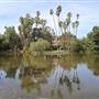 Los Angeles County Arboretum