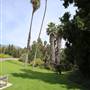Los Angeles County Arboretum