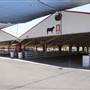 Kern County Fair - 15th DAA