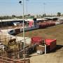 Kern County Fair - 15th DAA