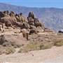 Alabama Hills - Bureau of Land Management / BLM - Bishop Field Office