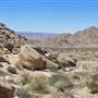 Desert View Conservation Area