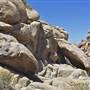 Desert View Conservation Area