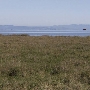 China Camp State Park (SP)