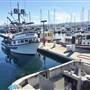 Breakwater Cove Marina Monterey