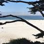 Carmel Beach