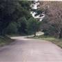 Iris Canyon Road