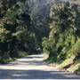 Olmstead Road