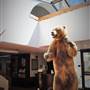 Pacific Grove Museum of Natural History