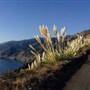 Nacimiento Fergusson Road - Forest Road No. 22S01