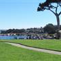 Pacific Grove
