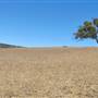 Rancho Lucia