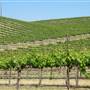Inn at the Pinnacles / Brosseau Vineyards - next to Pinnacles National Park