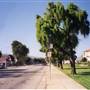 Salinas