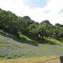 Salinas Valley