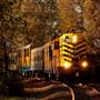 Sacramento River Fox Railroad