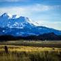 Mount Shasta City