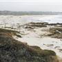 Asilomar State Beach and Conference Grounds