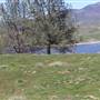 Ridge Route Ranch
