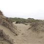 MacKerricher State Park (SP) - Inglenook Ten Mile Preserve - northern stretch - aka Ten Mile Dunes
